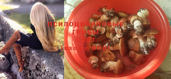 молекула духа Лиски