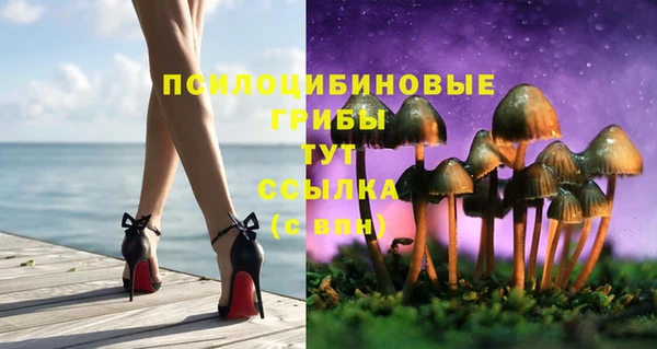 молекула духа Лиски
