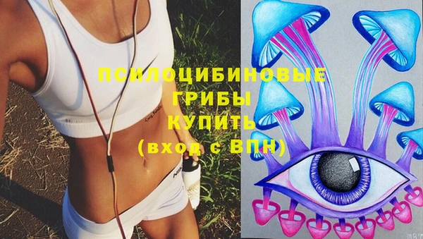гашик Лихославль