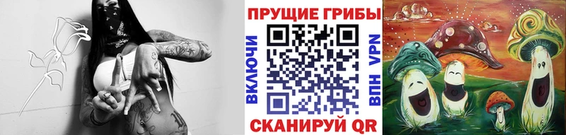 Галлюциногенные грибы Magic Shrooms  Жердевка 